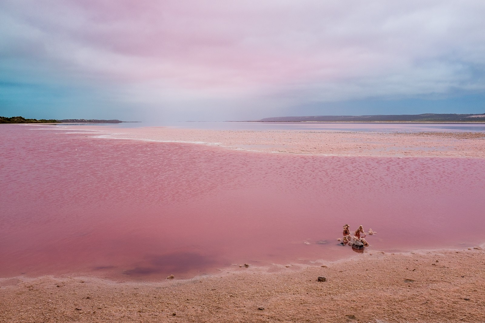 Hutt Lagoon, Pink Lake